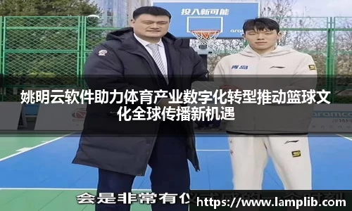 mk体育