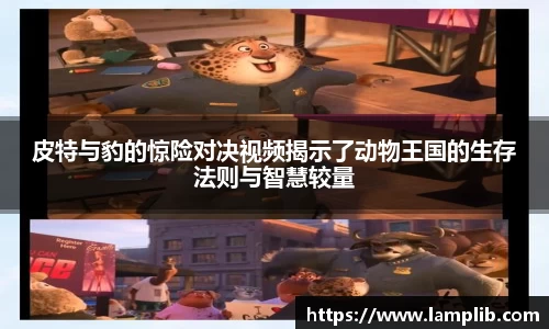皮特与豹的惊险对决视频揭示了动物王国的生存法则与智慧较量